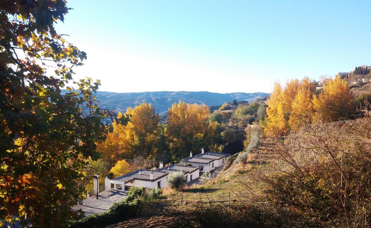 Turismo Rural & Spa El Cercado Bérchules Εξωτερικό φωτογραφία